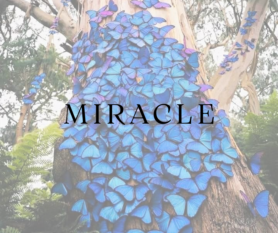 Miracle