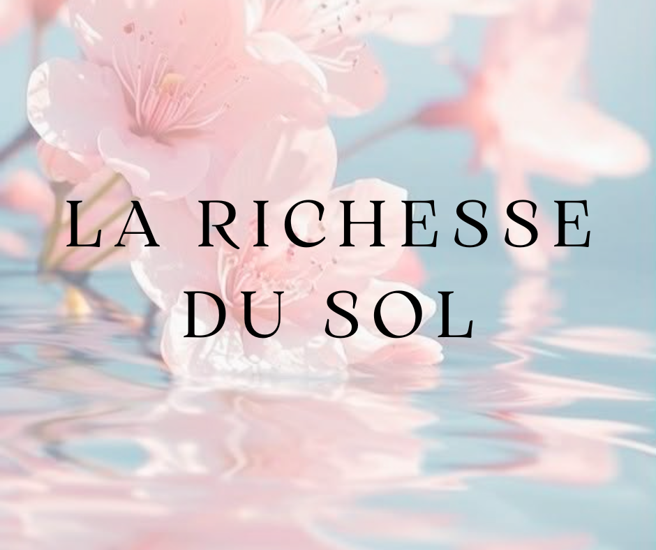La richesse du sol