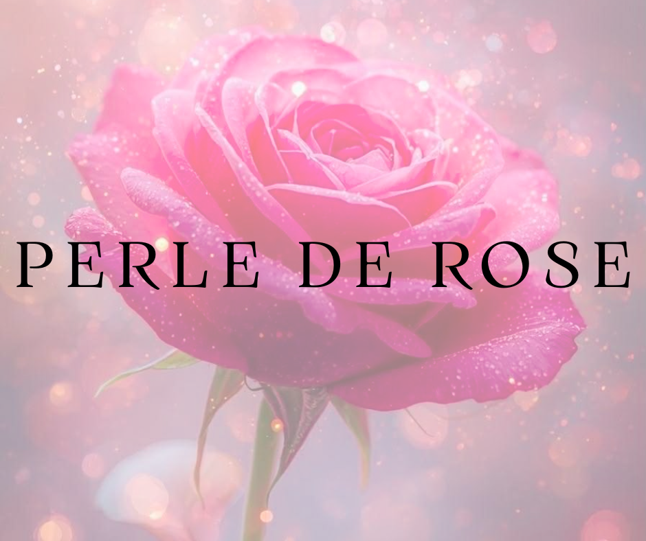 Perle de rose