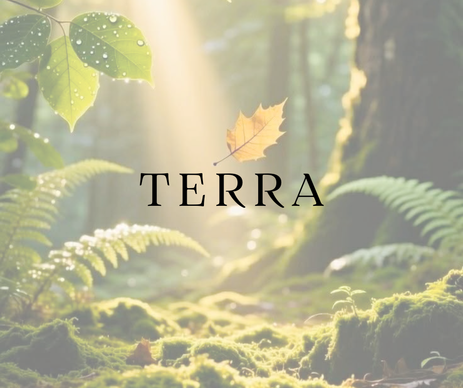 Terra