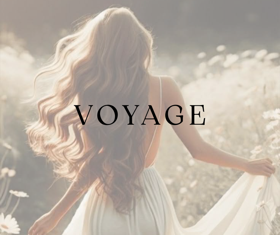 Voyage